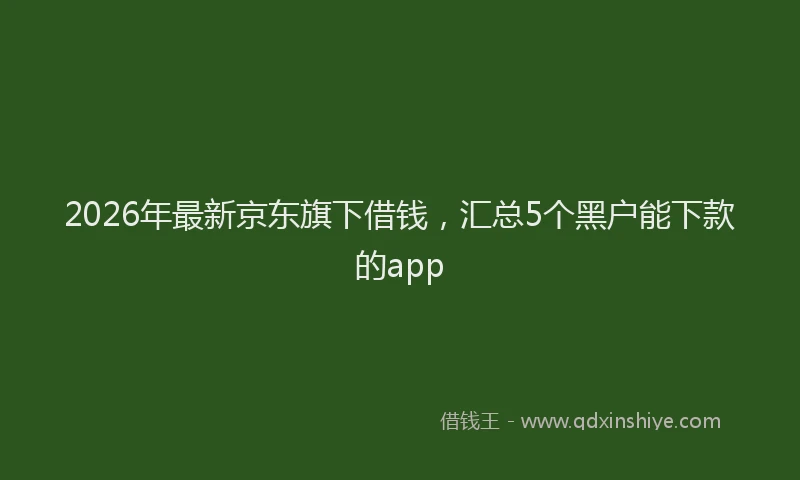 2026年最新京东旗下借钱，汇总5个黑户能下款的app