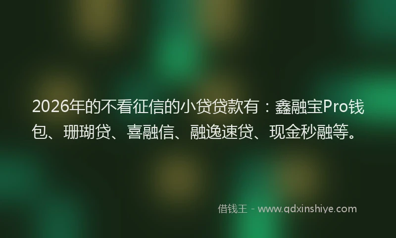 2026年的不看征信的小贷贷款有：鑫融宝Pro钱包、珊瑚贷、喜融信、融逸速贷、现金秒融等。