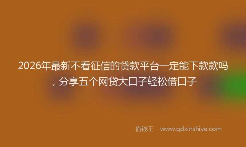 2026年最新不看征信的贷款平台一定能下款款吗，分享五个网贷大口子轻松借口子