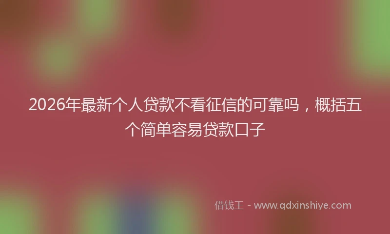 2026年最新个人贷款不看征信的可靠吗，概括五个简单容易贷款口子