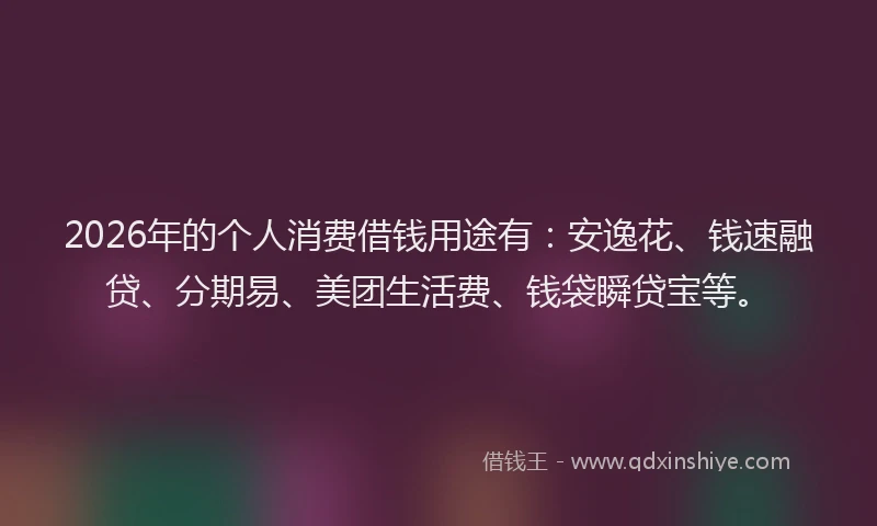 2026年的个人消费借钱用途有：安逸花、钱速融贷、分期易、美团生活费、钱袋瞬贷宝等。