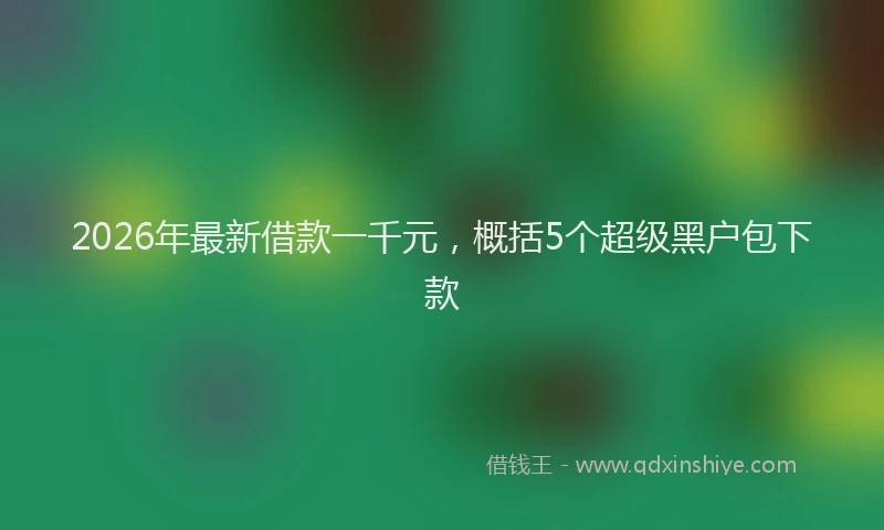 2026年最新借款一千元，概括5个超级黑户包下款