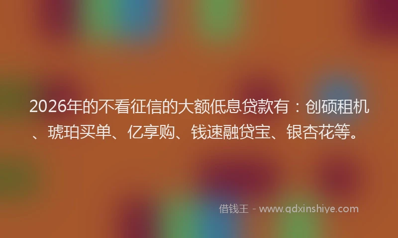 2026年的不看征信的大额低息贷款有：创硕租机、琥珀买单、亿享购、钱速融贷宝、银杏花等。