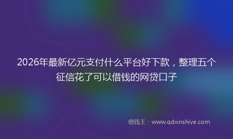 2026年最新亿元支付什么平台好下款，整理五个征信花了可以借钱的网贷口子
