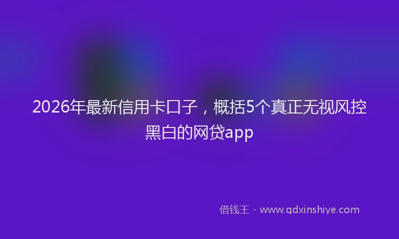 2026年最新信用卡口子,概括5个真正无视风控黑白的网贷app