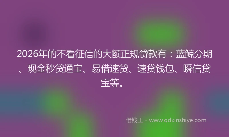 2026年的不看征信的大额正规贷款有：蓝鲸分期、现金秒贷通宝、易借速贷、速贷钱包、瞬信贷宝等。