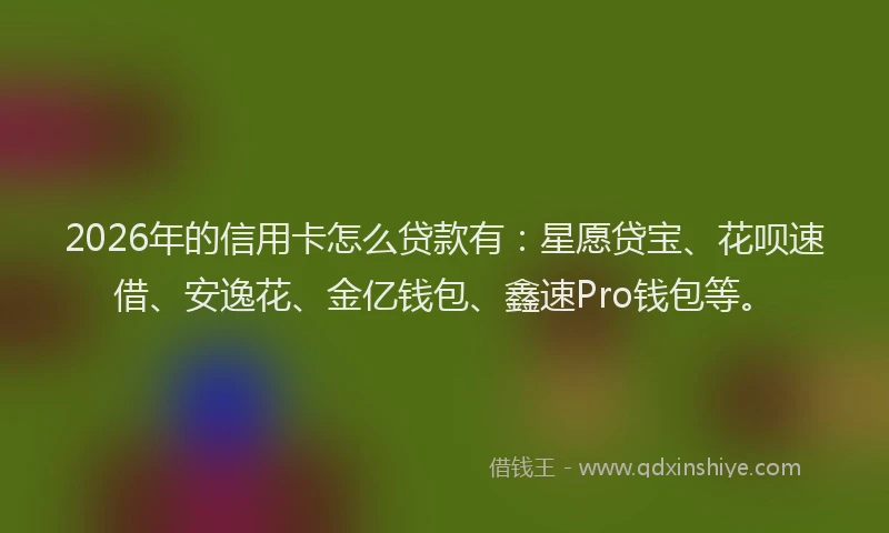 2026年的信用卡怎么贷款有:星愿贷宝、花呗速借、安逸花、金亿钱包、鑫速Pro钱包等。