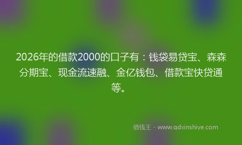 2026年的借款2000的口子有：钱袋易贷宝、森森分期宝、现金流速融、金亿钱包、借款宝快贷通等。