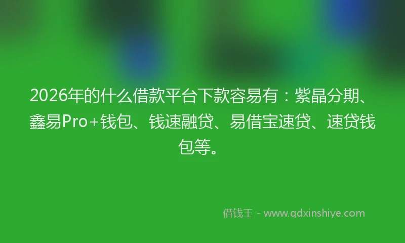 2026年的什么借款平台下款容易有:紫晶分期、鑫易Pro+钱包、钱速融贷、易借宝速贷、速贷钱包等。