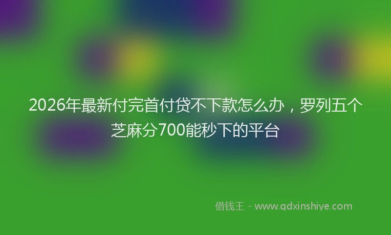 2026年最新付完首付贷不下款怎么办,罗列五个芝麻分700能秒下的平台