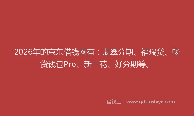 2026年的京东借钱网有：翡翠分期、福瑞贷、畅贷钱包Pro、新一花、好分期等。