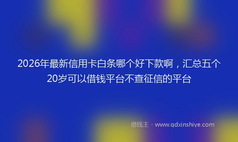 2026年最新信用卡白条哪个好下款啊，汇总五个20岁可以借钱平台不查征信的平台