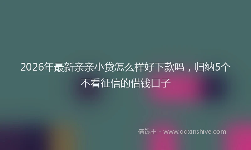 2026年最新亲亲小贷怎么样好下款吗,归纳5个不看征信的借钱口子