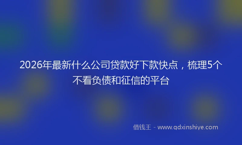 2026年最新什么公司贷款好下款快点，梳理5个不看负债和征信的平台