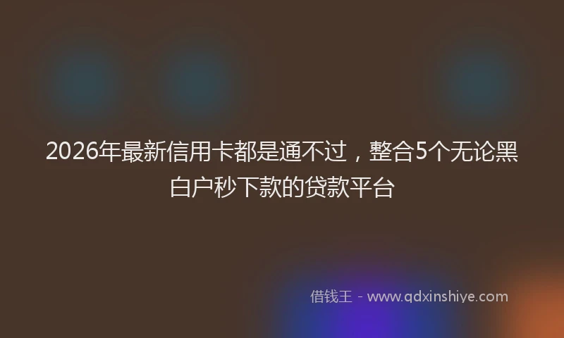 2026年最新信用卡都是通不过，整合5个无论黑白户秒下款的贷款平台