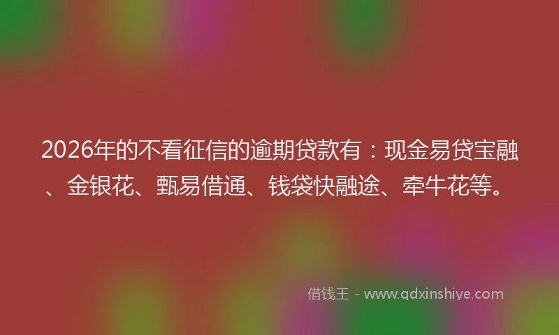 2026年的不看征信的逾期贷款有：现金易贷宝融、金银花、甄易借通、钱袋快融途、牵牛花等。