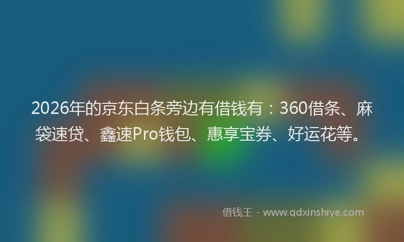 2026年的京东白条旁边有借钱有：360借条、麻袋速贷、鑫速Pro钱包、惠享宝券、好运花等。