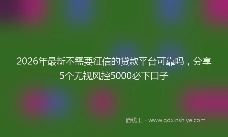 2026年最新不需要征信的贷款平台可靠吗，分享5个无视风控5000必下口子