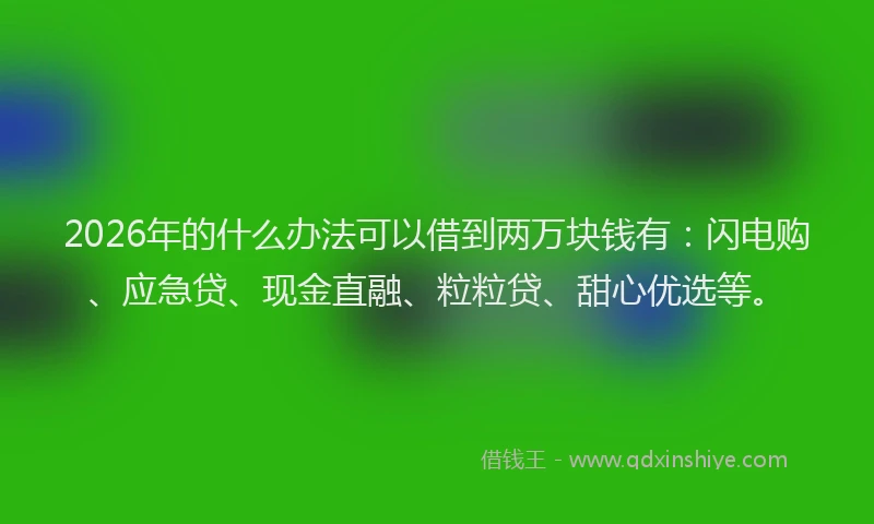2026年的什么办法可以借到两万块钱有:闪电购、应急贷、现金直融、粒粒贷、甜心优选等。