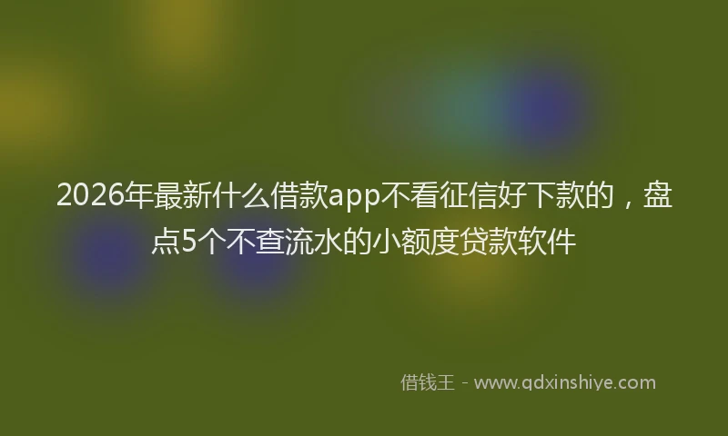 2026年最新什么借款app不看征信好下款的,盘点5个不查流水的小额度贷款软件