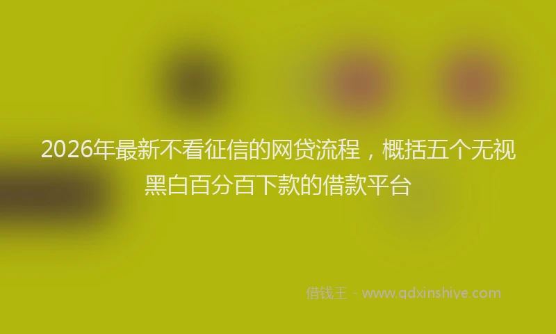 2026年最新不看征信的网贷流程，概括五个无视黑白百分百下款的借款平台