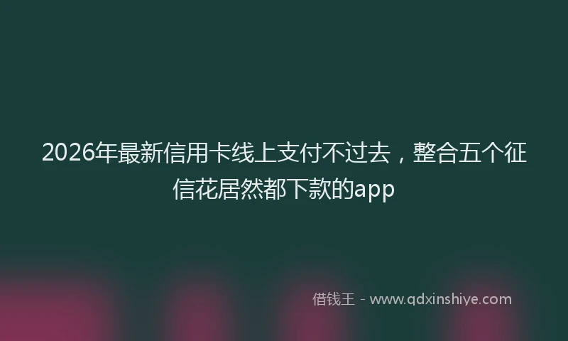 2026年最新信用卡线上支付不过去，整合五个征信花居然都下款的app