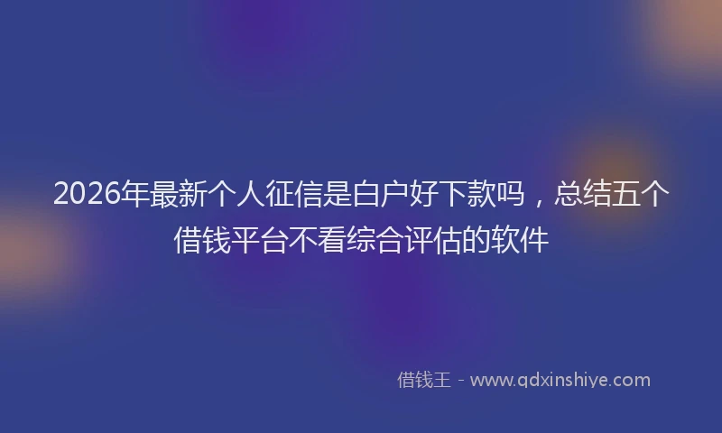 2026年最新个人征信是白户好下款吗,总结五个借钱平台不看综合评估的软件