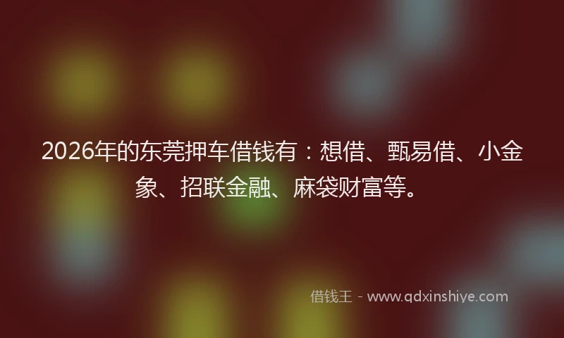 2026年的东莞押车借钱有：想借、甄易借、小金象、招联金融、麻袋财富等。