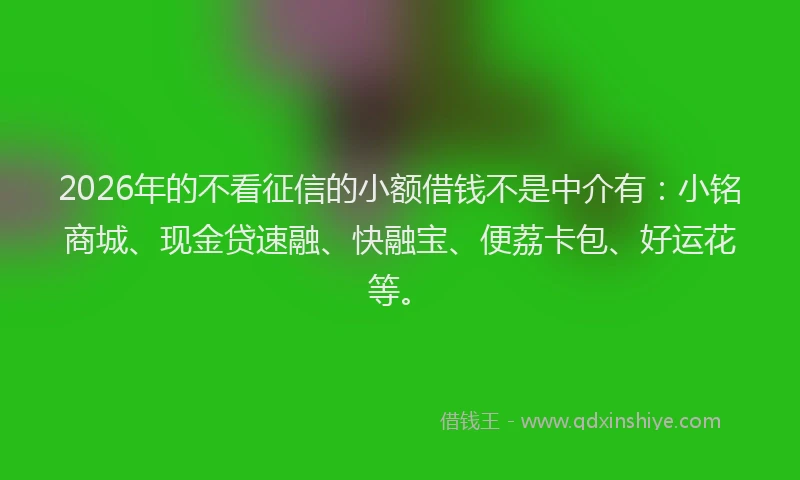 2026年的不看征信的小额借钱不是中介有：小铭商城、现金贷速融、快融宝、便荔卡包、好运花等。
