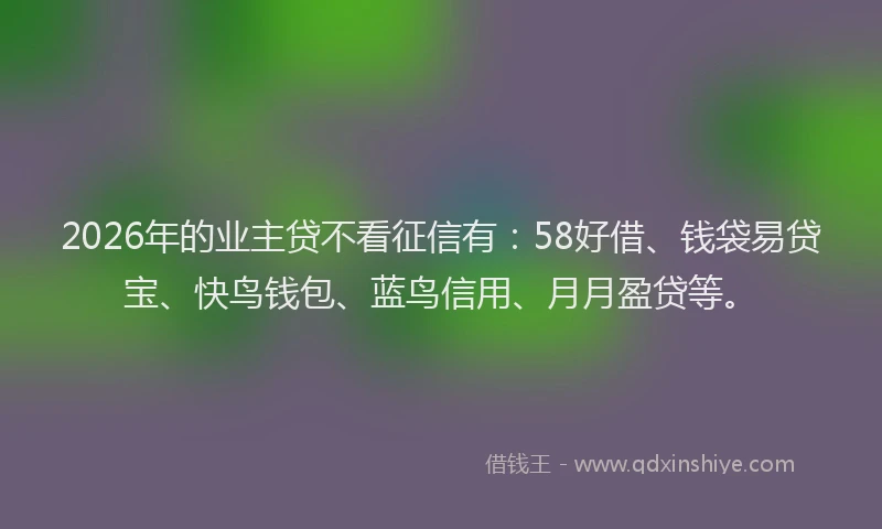 2026年的业主贷不看征信有：58好借、钱袋易贷宝、快鸟钱包、蓝鸟信用、月月盈贷等。
