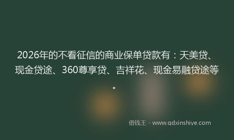 2026年的不看征信的商业保单贷款有：天美贷、现金贷途、360尊享贷、吉祥花、现金易融贷途等。