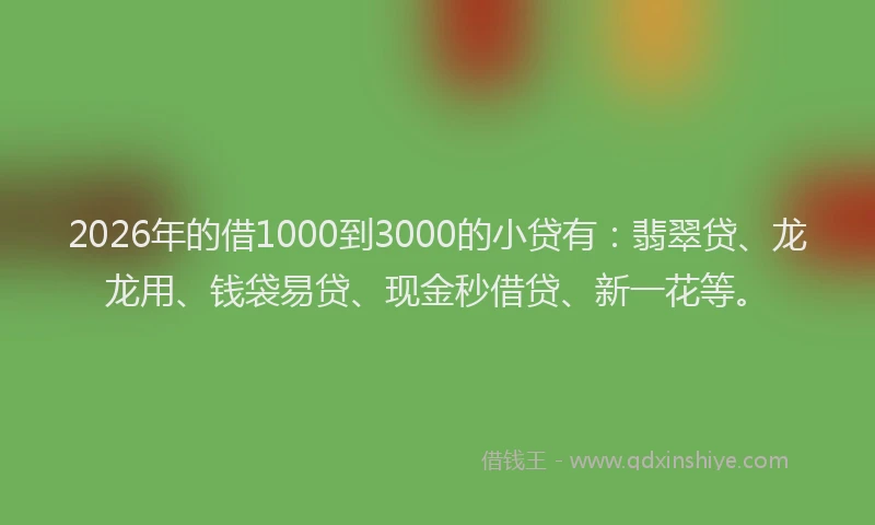 2026年的借1000到3000的小贷有：翡翠贷、龙龙用、钱袋易贷、现金秒借贷、新一花等。