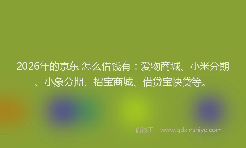2026年的京东 怎么借钱有:爱物商城、小米分期、小象分期、招宝商城、借贷宝快贷等。
