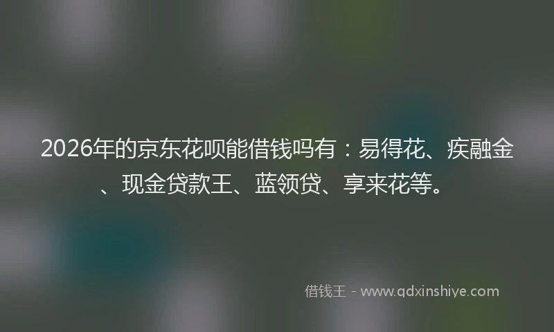2026年的京东花呗能借钱吗有：易得花、疾融金、现金贷款王、蓝领贷、享来花等。