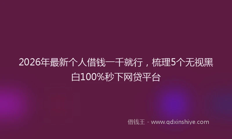 2026年最新个人借钱一千就行，梳理5个无视黑白100%秒下网贷平台