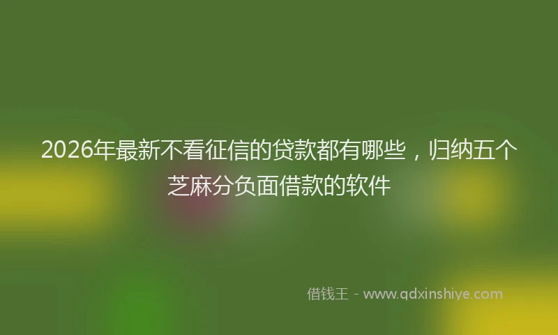 2026年最新不看征信的贷款都有哪些，归纳五个芝麻分负面借款的软件