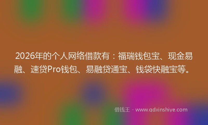 2026年的个人网络借款有：福瑞钱包宝、现金易融、速贷Pro钱包、易融贷通宝、钱袋快融宝等。