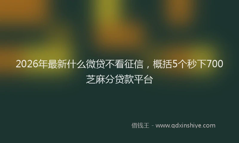 2026年最新什么微贷不看征信,概括5个秒下700芝麻分贷款平台