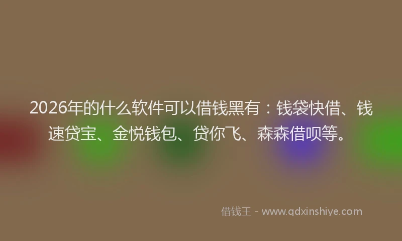 2026年的什么软件可以借钱黑有:钱袋快借、钱速贷宝、金悦钱包、贷你飞、森森借呗等。
