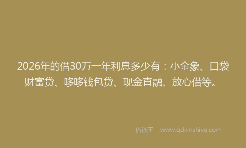 2026年的借30万一年利息多少有：小金象、口袋财富贷、哆哆钱包贷、现金直融、放心借等。