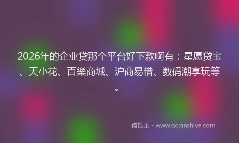 2026年的企业贷那个平台好下款啊有:星愿贷宝、天小花、百樂商城、沪商易借、数码潮享玩等。