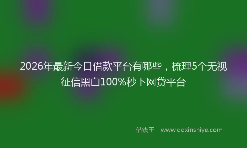 2026年最新今日借款平台有哪些，梳理5个无视征信黑白100%秒下网贷平台