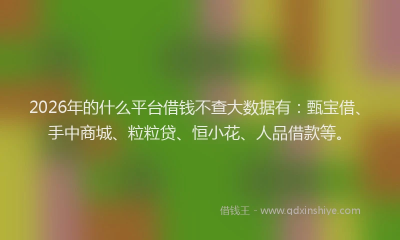 2026年的什么平台借钱不查大数据有：甄宝借、手中商城、粒粒贷、恒小花、人品借款等。