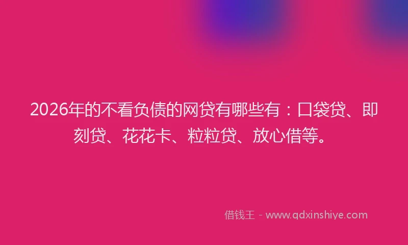 2026年的不看负债的网贷有哪些有：口袋贷、即刻贷、花花卡、粒粒贷、放心借等。