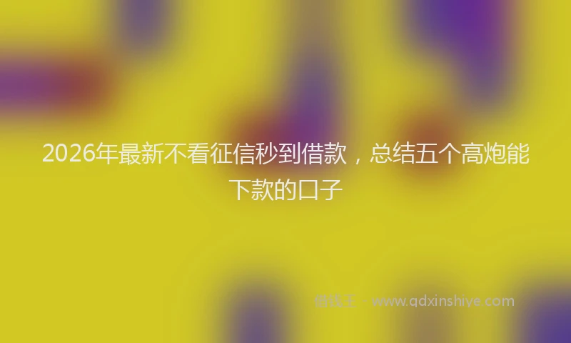 2026年最新不看征信秒到借款,总结五个高炮能下款的口子