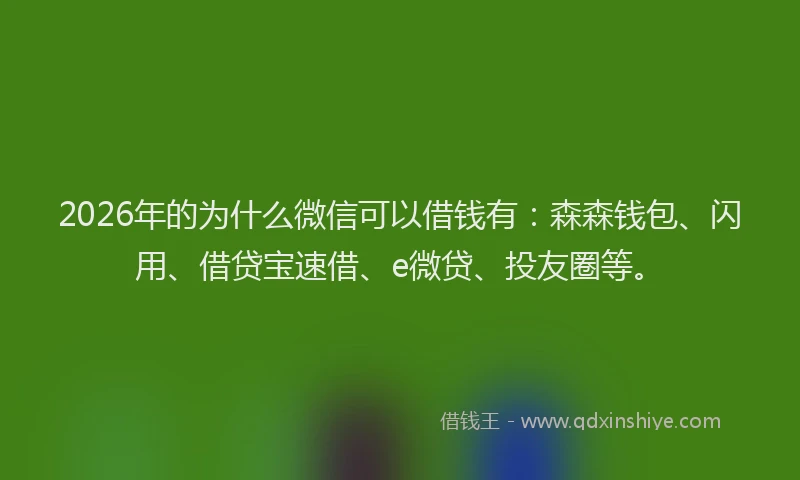 2026年的为什么微信可以借钱有：森森钱包、闪用、借贷宝速借、e微贷、投友圈等。