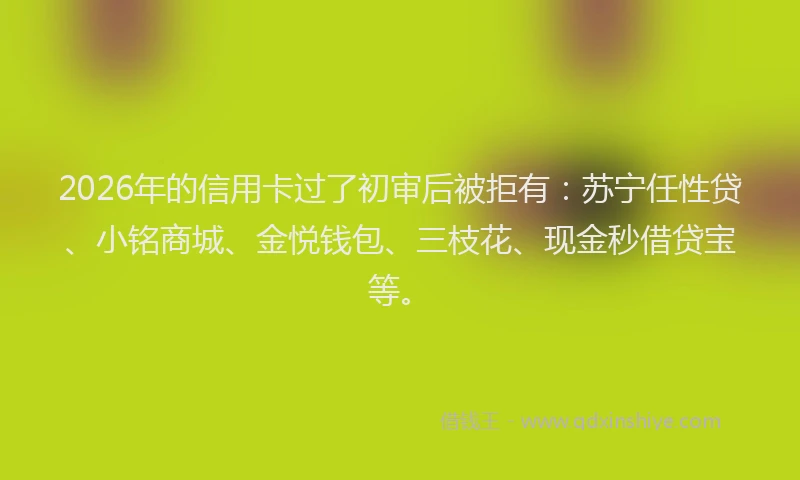 2026年的信用卡过了初审后被拒有：苏宁任性贷、小铭商城、金悦钱包、三枝花、现金秒借贷宝等。