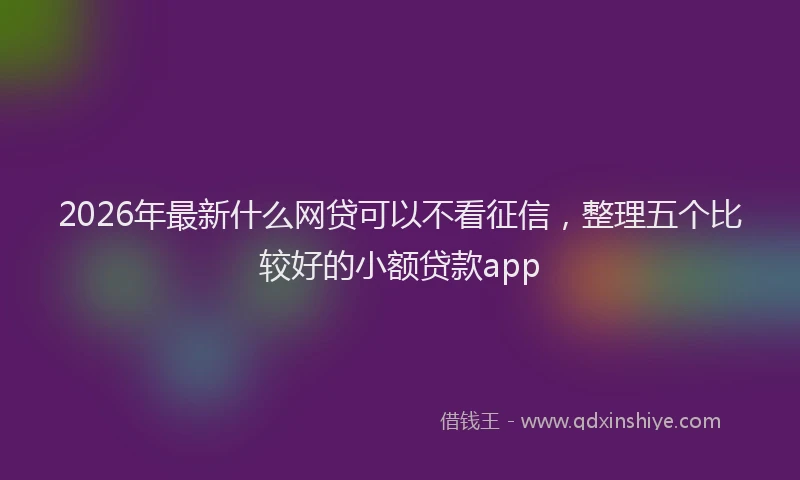 2026年最新什么网贷可以不看征信,整理五个比较好的小额贷款app