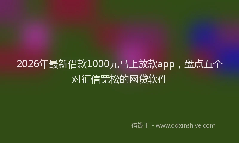 2026年最新借款1000元马上放款app,盘点五个对征信宽松的网贷软件