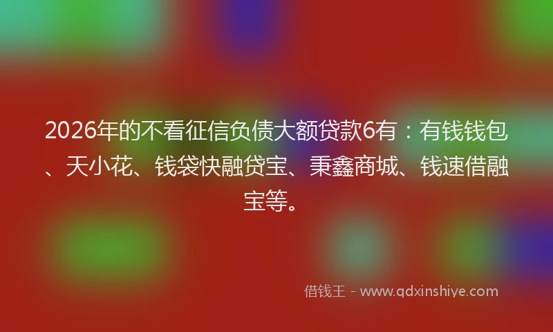 2026年的不看征信负债大额贷款6有：有钱钱包、天小花、钱袋快融贷宝、秉鑫商城、钱速借融宝等。